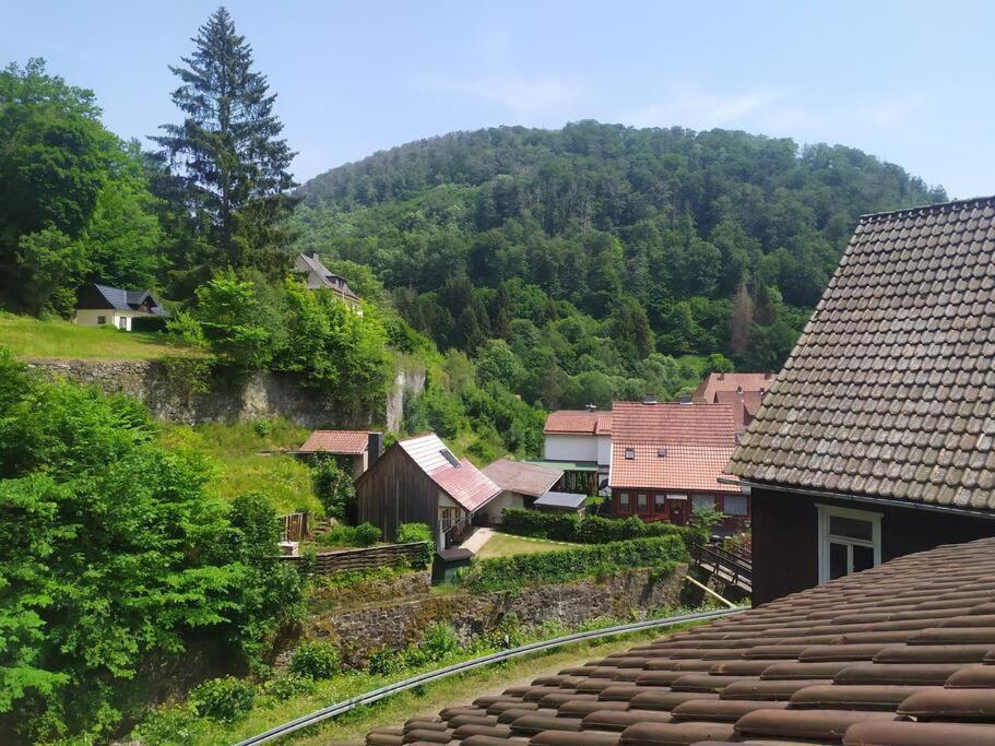 Haus Am Wald Zorge 16+ Gaeste Walkenried Exteriör bild