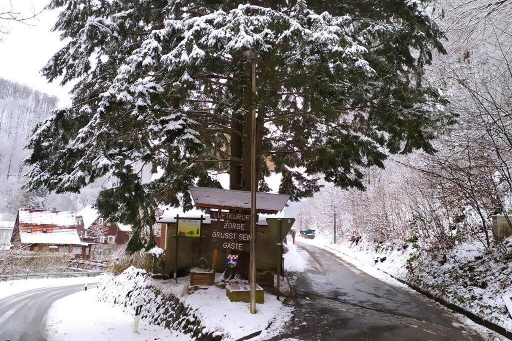 Haus Am Wald Zorge 16+ Gaeste Walkenried Exteriör bild