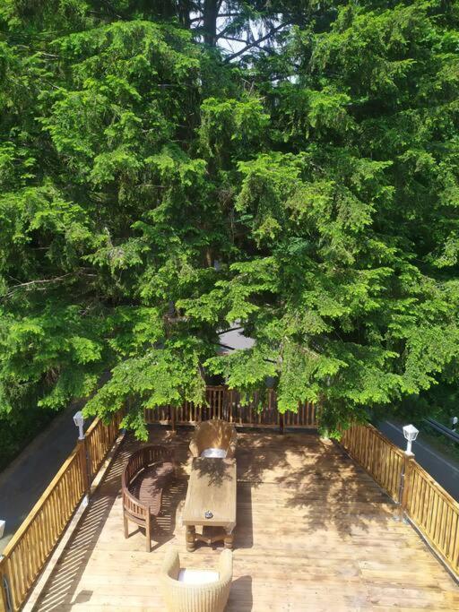 Haus Am Wald Zorge 16+ Gaeste Walkenried Exteriör bild