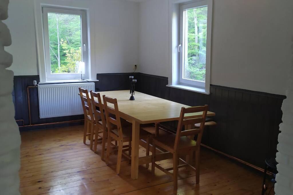 Haus Am Wald Zorge 16+ Gaeste Walkenried Exteriör bild
